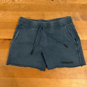 Young LA 5' Shorts Men's Large Blue Gym Crossfit Running Sports